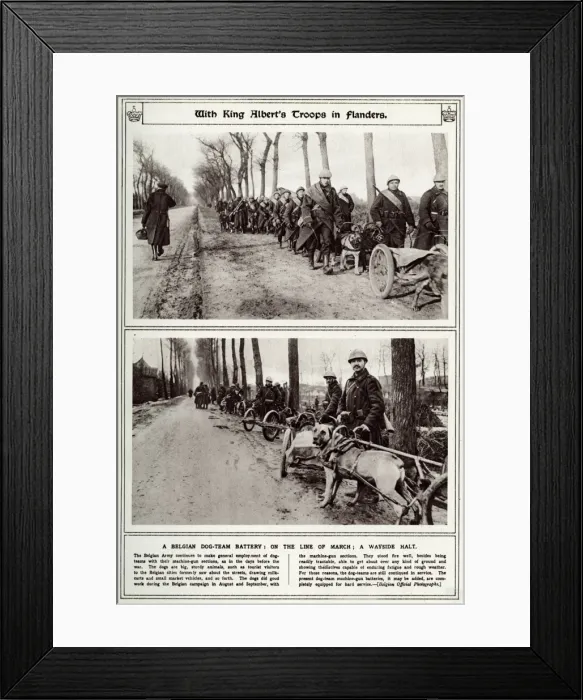 Framed Print : Belgian troops with dog-team 1916 Framed Print : Belgian troops with dog-team 1916