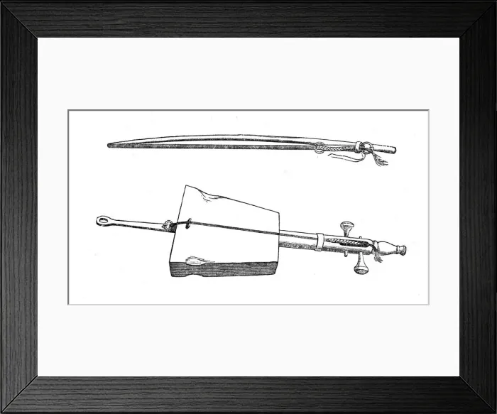 Framed Print : Egyptian viol Framed Print : Egyptian viol