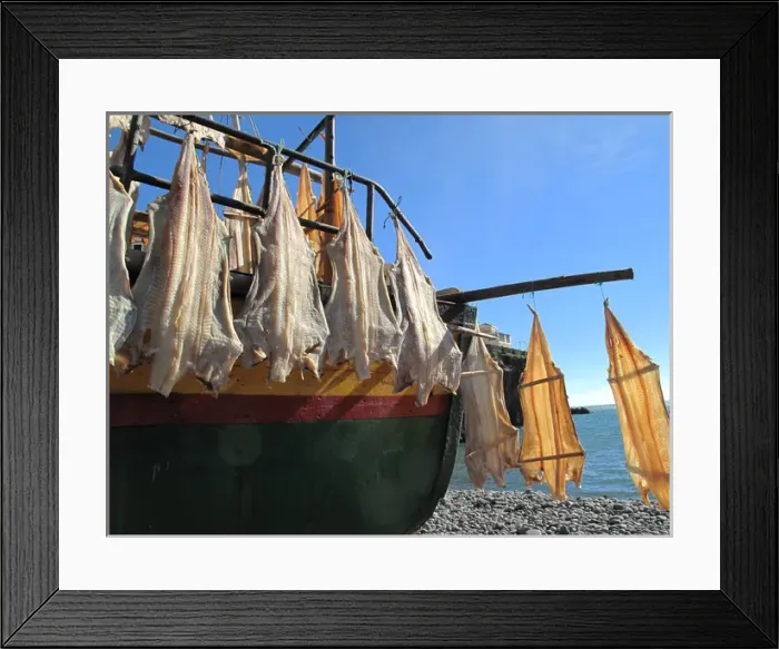 Framed Print : Madeira, Camara de Lobos - Fishing boat - drying fish Framed Print : Madeira, Camara de Lobos - Fishing boat - drying fish