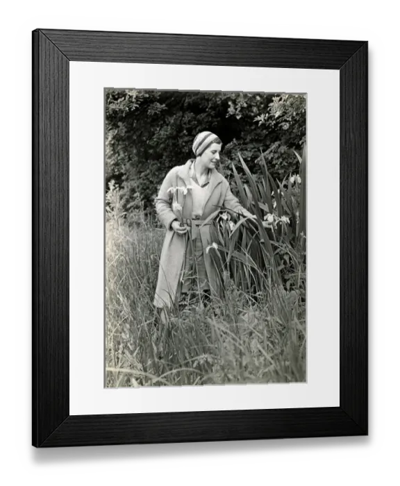 Framed Print : Rene Fraser gathering flowers Framed Print : Rene Fraser gathering flowers