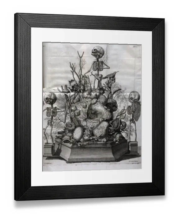 Framed Print : Various fetal skeletons displayed Framed Print : Various fetal skeletons displayed