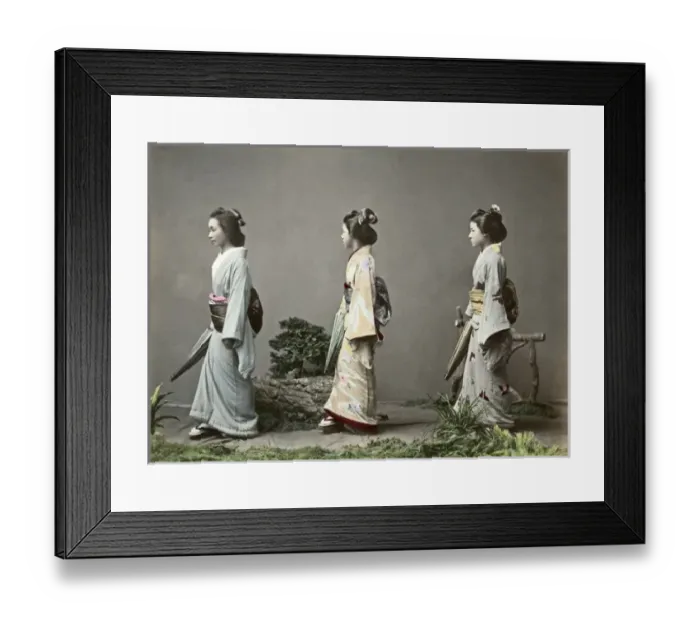 Framed Print : Geishas with parasols and obi sashes, Japan Framed Print : Geishas with parasols and obi sashes, Japan