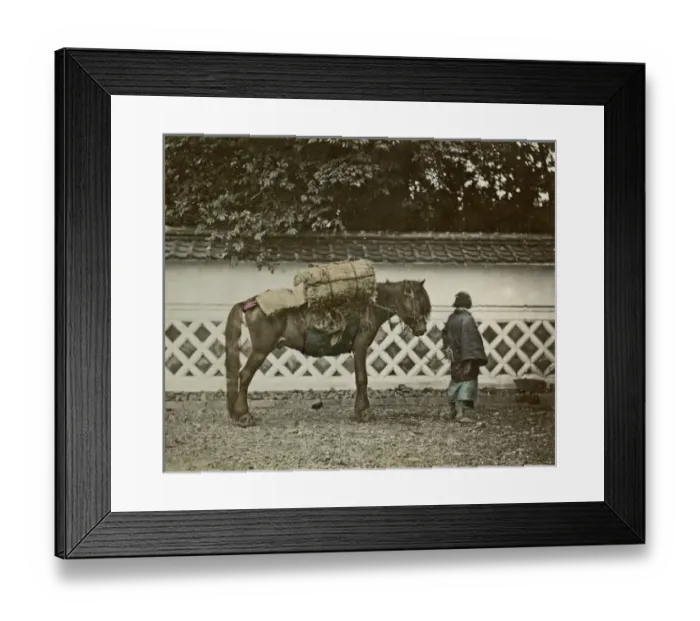 Framed Print : Pack horse, Japan Framed Print : Pack horse, Japan