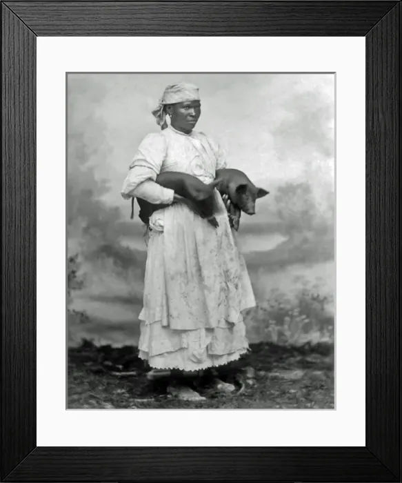 Framed Print : Woman with pigs, West Indies Framed Print : Woman with pigs, West Indies