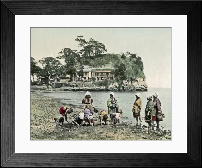 Framed Print : Picking shells, Honmoku, Japan Framed Print : Picking shells, Honmoku, Japan