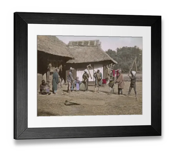 Framed Print : Threshing rice, Japan Framed Print : Threshing rice, Japan