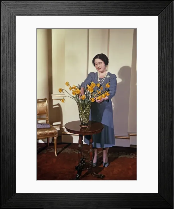 Framed Print : Queen Mother arranging daffodils Framed Print : Queen Mother arranging daffodils