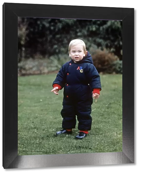 A young Prince William