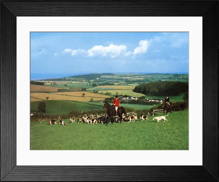 Framed Print : West Somerset Foxhounds Framed Print : West Somerset Foxhounds