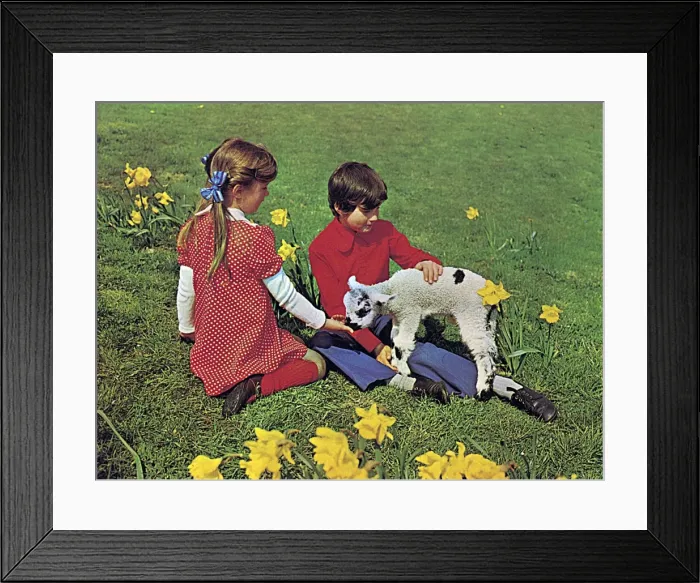 Framed Print : Girl and boy with spring lamb Framed Print : Girl and boy with spring lamb