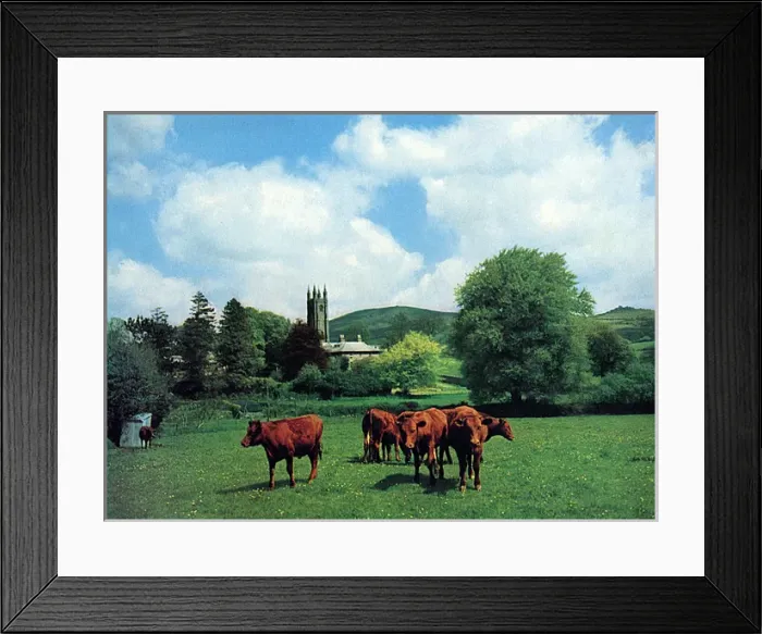 Framed Print : Widecombe-in-the-Moor, Devon Framed Print : Widecombe-in-the-Moor, Devon