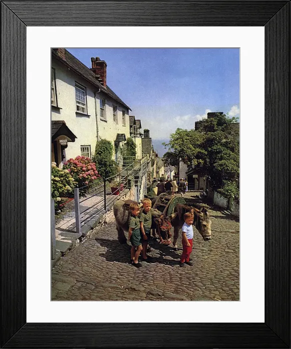 Framed Print : Donkeys at Clovelly, Devon Framed Print : Donkeys at Clovelly, Devon
