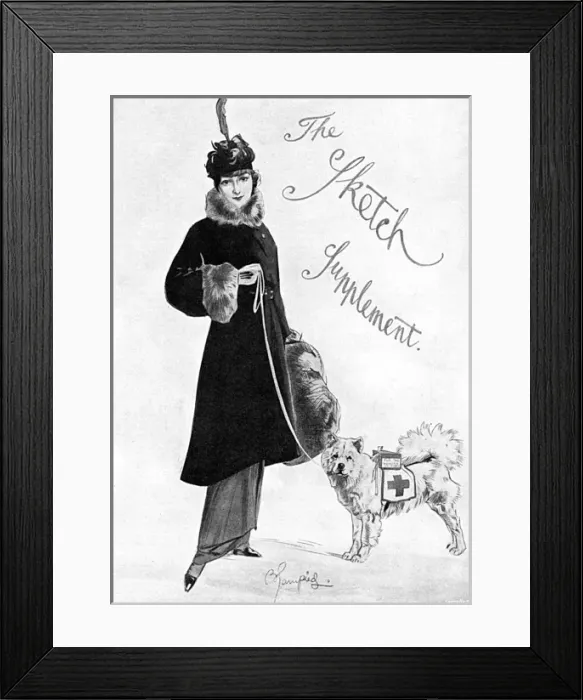 Framed Print : Lady with Red Cross fundraising dog, WW1 Framed Print : Lady with Red Cross fundraising dog, WW1