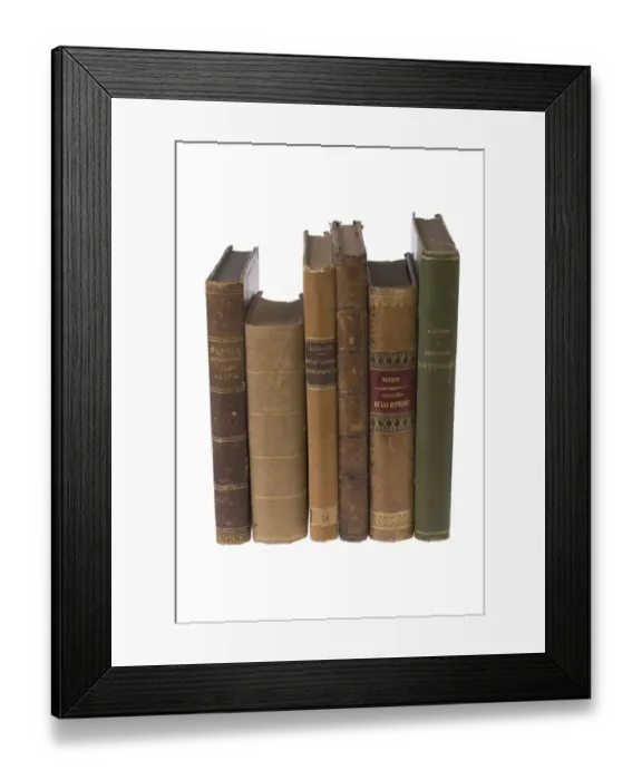 Framed Print : The Origin of Species Framed Print : The Origin of Species