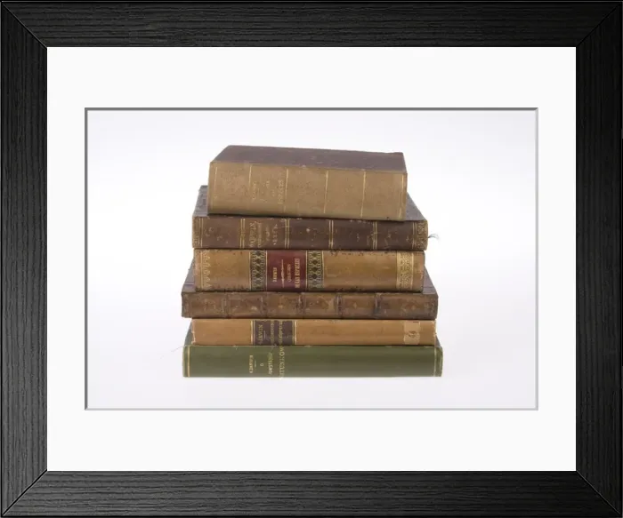 Framed Print : The Origin of Species Framed Print : The Origin of Species