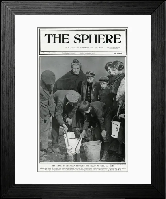 Framed Print : Siege of Antwerp, World War One, 1914 - animals looked after Framed Print : Siege of Antwerp, World War One, 1914 - animals looked after