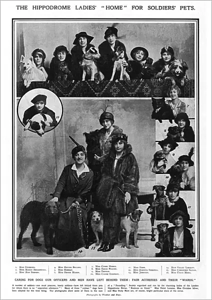 Hippodrome ladies home for soldiers pets, WW1
