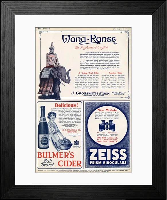 Framed Print : A back page of adverts from The Tatler, dated 22nd July 1914 Framed Print : A back page of adverts from The Tatler, dated 22nd July 1914