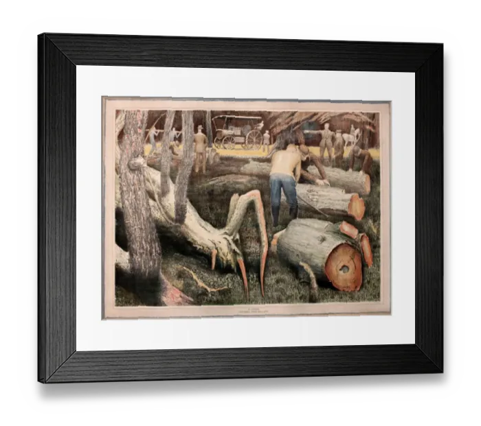Framed Print : October Tree Felling by R Coxon Framed Print : October Tree Felling by R Coxon
