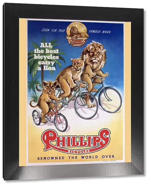 Poster, Phillips Bicycles