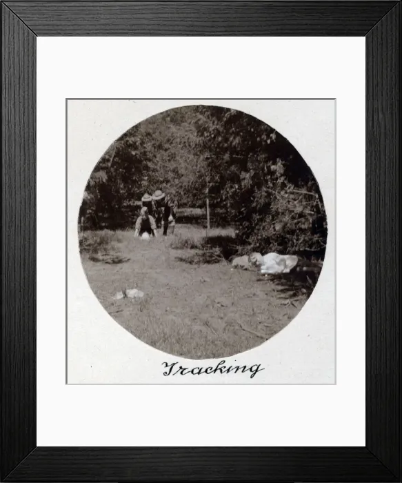 Framed Print : Boy scouts tracking, South Africa Framed Print : Boy scouts tracking, South Africa