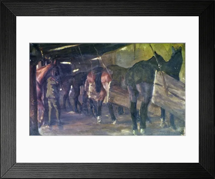 Framed Print : Pack ponies of the Sherwood Foresters, WW1 Framed Print : Pack ponies of the Sherwood Foresters, WW1