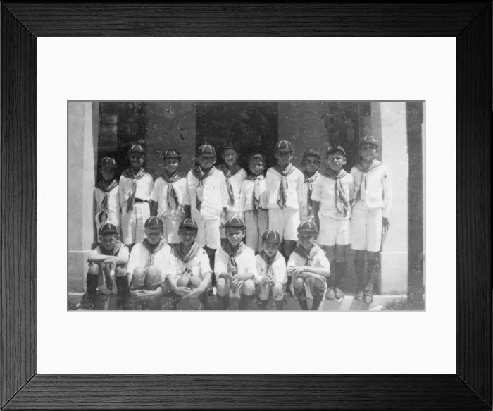 Framed Print : Group photo, wolf cubs, Bahamas Framed Print : Group photo, wolf cubs, Bahamas