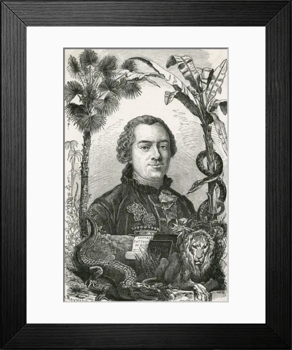 Framed Print : Georges-Louis Leclerc, Comte de Buffon Framed Print : Georges-Louis Leclerc, Comte de Buffon