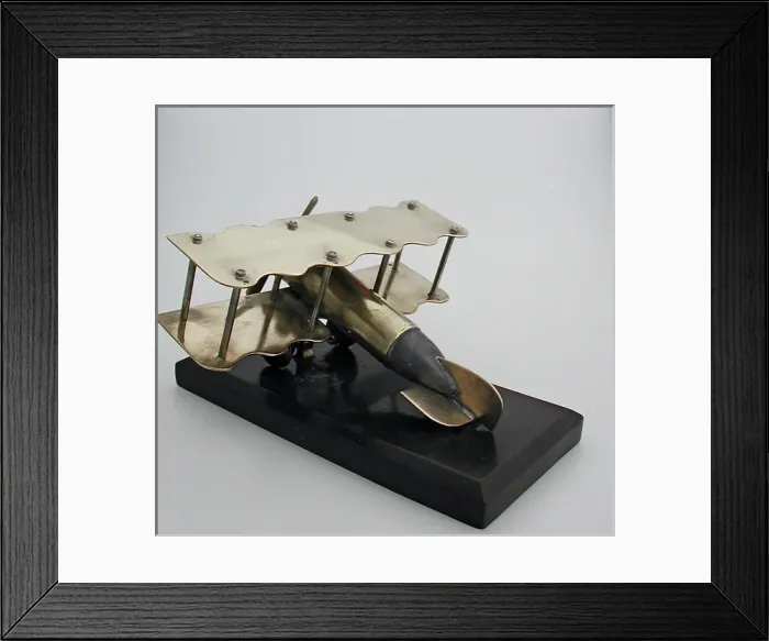 Framed Print : biplane with fuselage made out of pom-pom type of shell Framed Print : biplane with fuselage made out of pom-pom type of shell