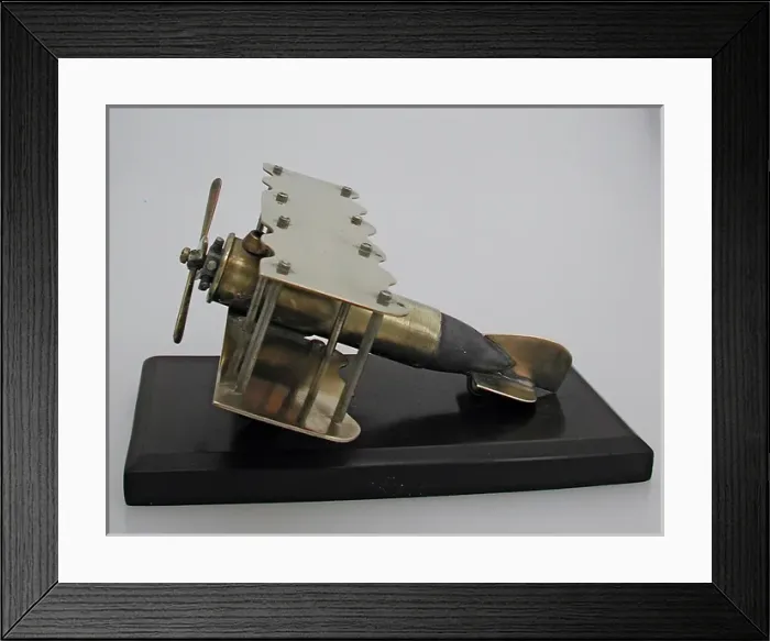 Framed Print : biplane with fuselage made out of pom-pom type of shell Framed Print : biplane with fuselage made out of pom-pom type of shell