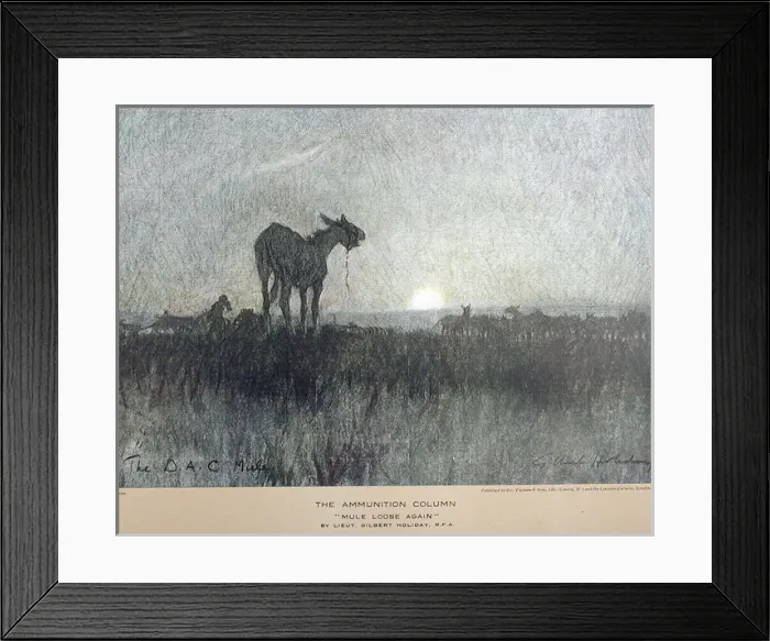 Framed Print : The Ammunition Column Mule loose again Framed Print : The Ammunition Column Mule loose again