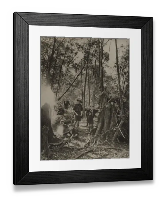 Framed Print : Barnardo Wolf Cubs in Australia Framed Print : Barnardo Wolf Cubs in Australia