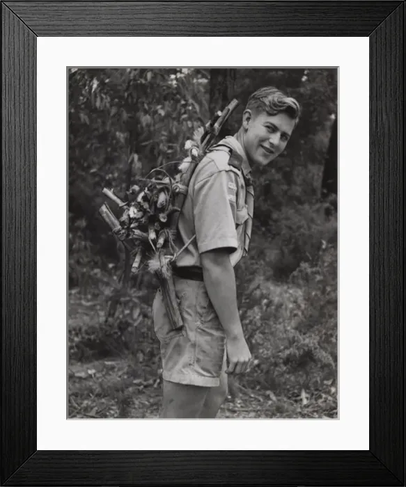 Framed Print : Scout carrying wood on his back in Australia Framed Print : Scout carrying wood on his back in Australia