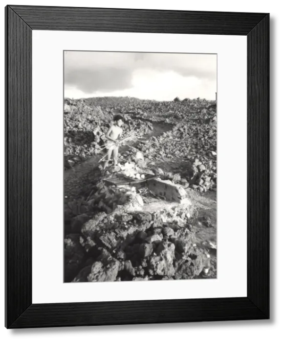 Framed Print : Boy Scout on Ascension Island, South Atlantic Framed Print : Boy Scout on Ascension Island, South Atlantic