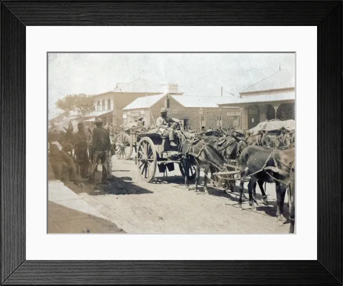 Framed Print : WWI group of No 3 Troop Essex Yeomanry - a boxing match Framed Print : WWI group of No 3 Troop Essex Yeomanry - a boxing match