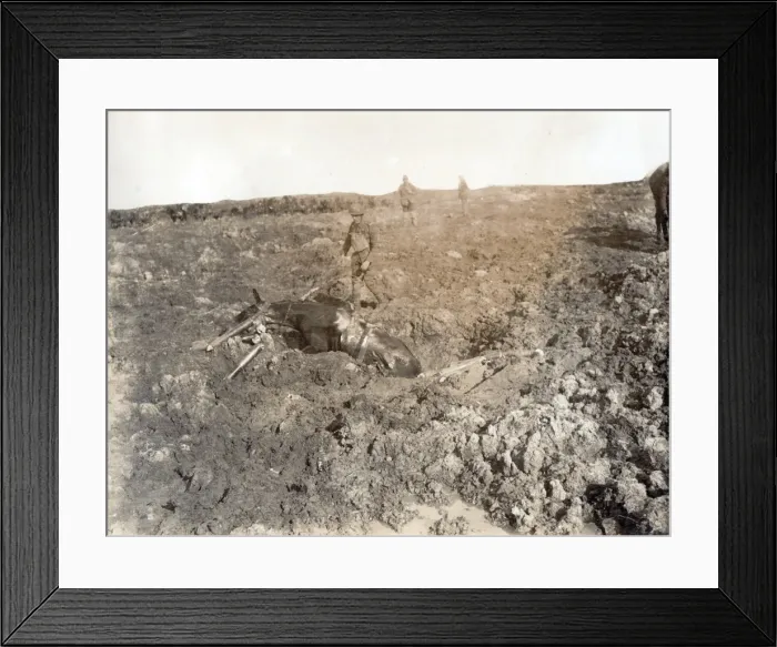 Framed Print : No D1461 One of our tanks at Flers Framed Print : No D1461 One of our tanks at Flers