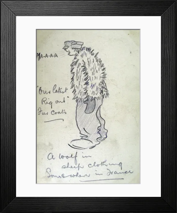 Framed Print : Our latest Rig Out Fur Coats A wolf in sheep clothing Framed Print : Our latest Rig Out Fur Coats A wolf in sheep clothing