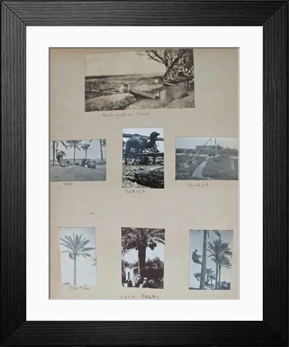 Framed Print : Album - Assorted photos and postcards of Egypt & Palestine Framed Print : Album - Assorted photos and postcards of Egypt & Palestine