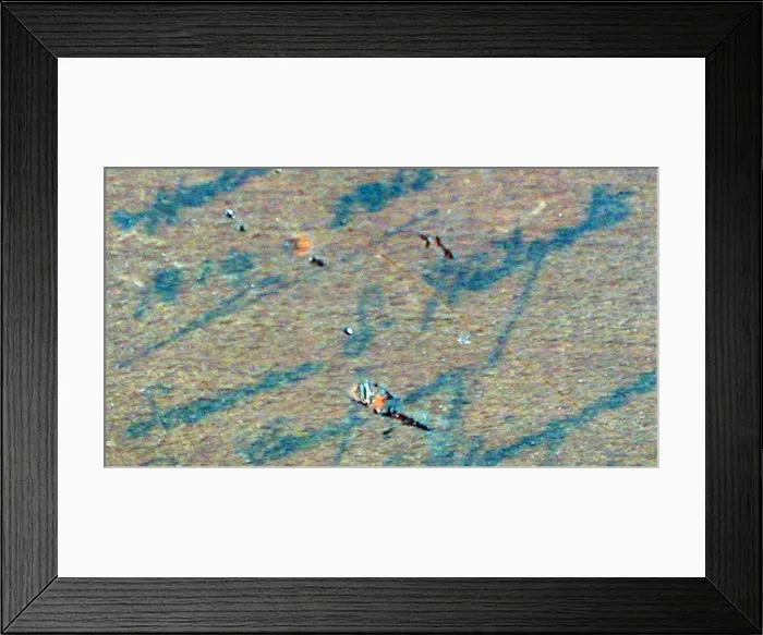 Framed Print : Pontoons looking right towards Antwerp Framed Print : Pontoons looking right towards Antwerp
