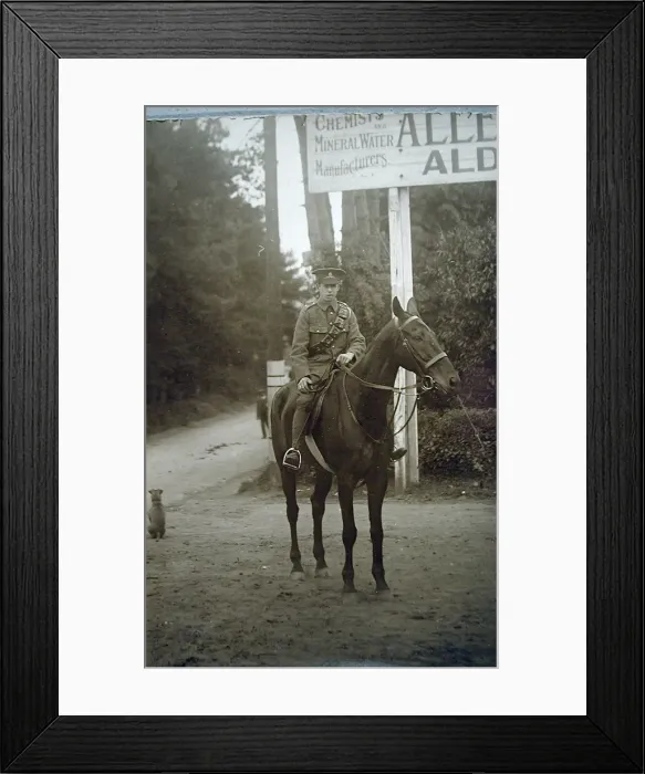 Framed Print : Portrait photograph of a Royal Artillery trooper on his hors Framed Print : Portrait photograph of a Royal Artillery trooper on his hors