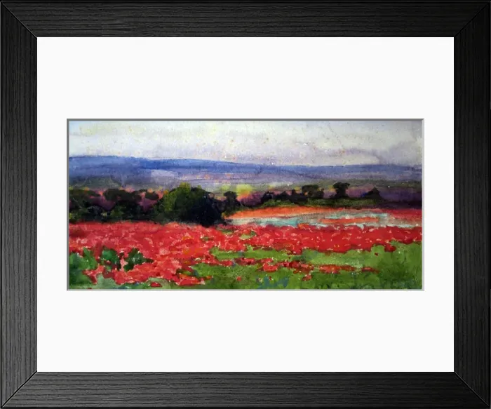 Framed Print : A poppy field, France, c 1918 Framed Print : A poppy field, France, c 1918