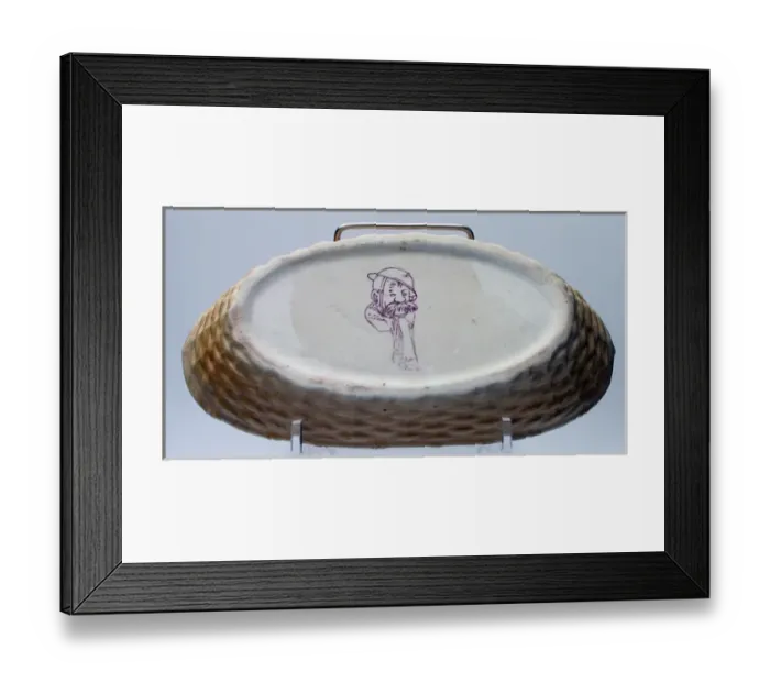 Framed Print : Dish: What time do they feed the sea-lions, Alf Framed Print : Dish: What time do they feed the sea-lions, Alf