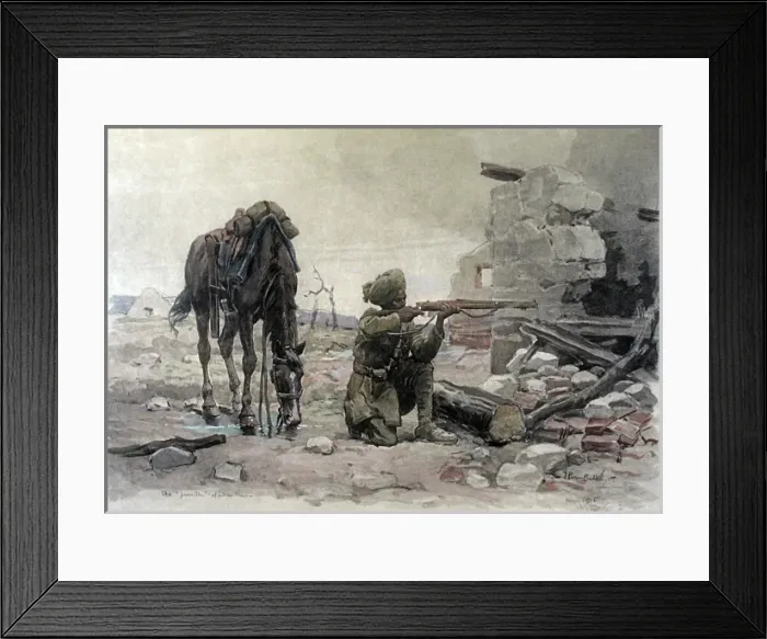 Framed Print : Folio of 24 hand-coloured images - WWI