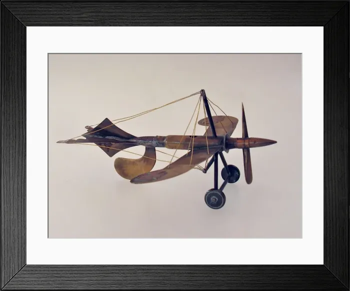 Framed Print : Trench Art - German Taube shaped monoplane