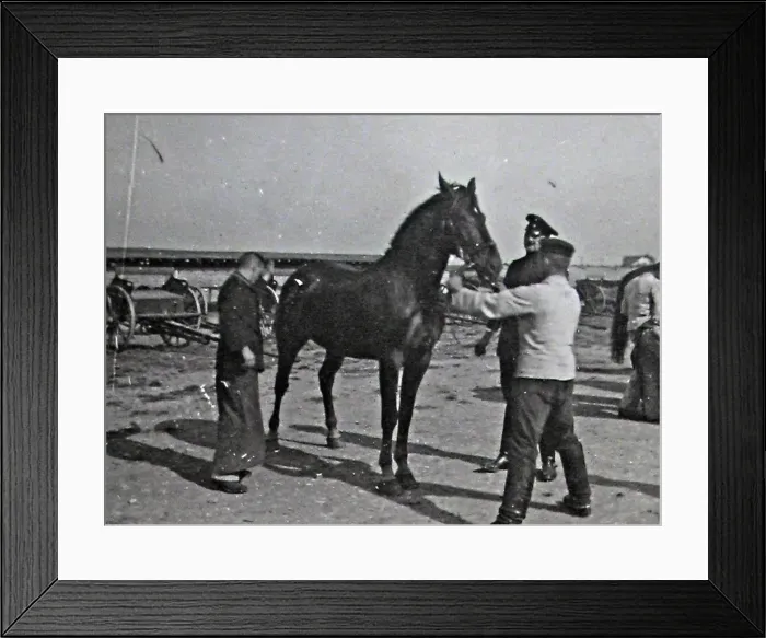 Framed Print : 43 snapshots, taken in France, by a German artilleryman Framed Print : 43 snapshots, taken in France, by a German artilleryman