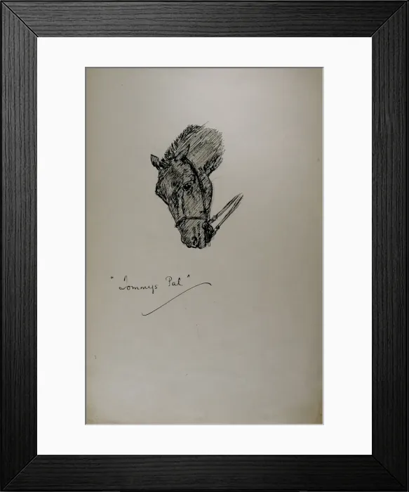 Framed Print : Tommys Pal Framed Print : Tommys Pal