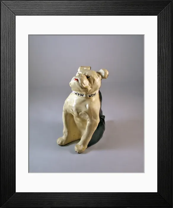Framed Print : British bulldog with Bow, Bow, Bow around his neck Framed Print : British bulldog with Bow, Bow, Bow around his neck