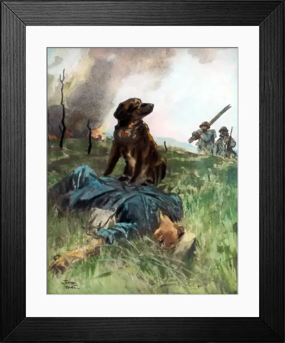 Framed Print : A French Briard ambulance dog (Slight crack to plate) Framed Print : A French Briard ambulance dog (Slight crack to plate)