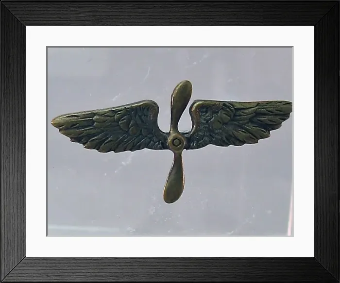 Framed Print : Winged Royal Flying Corps Sweetheart brooch Framed Print : Winged Royal Flying Corps Sweetheart brooch