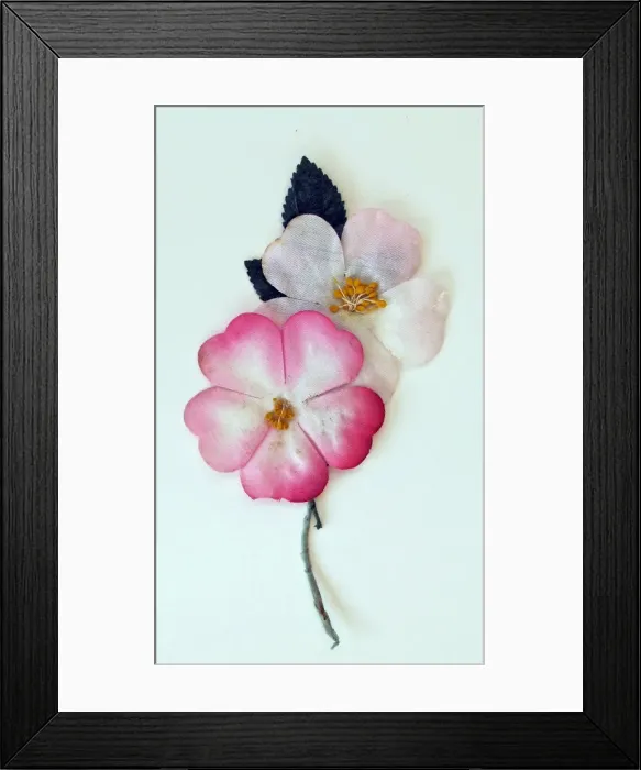 Framed Print : Alexandra Day ribbon tabard, worn by collectors